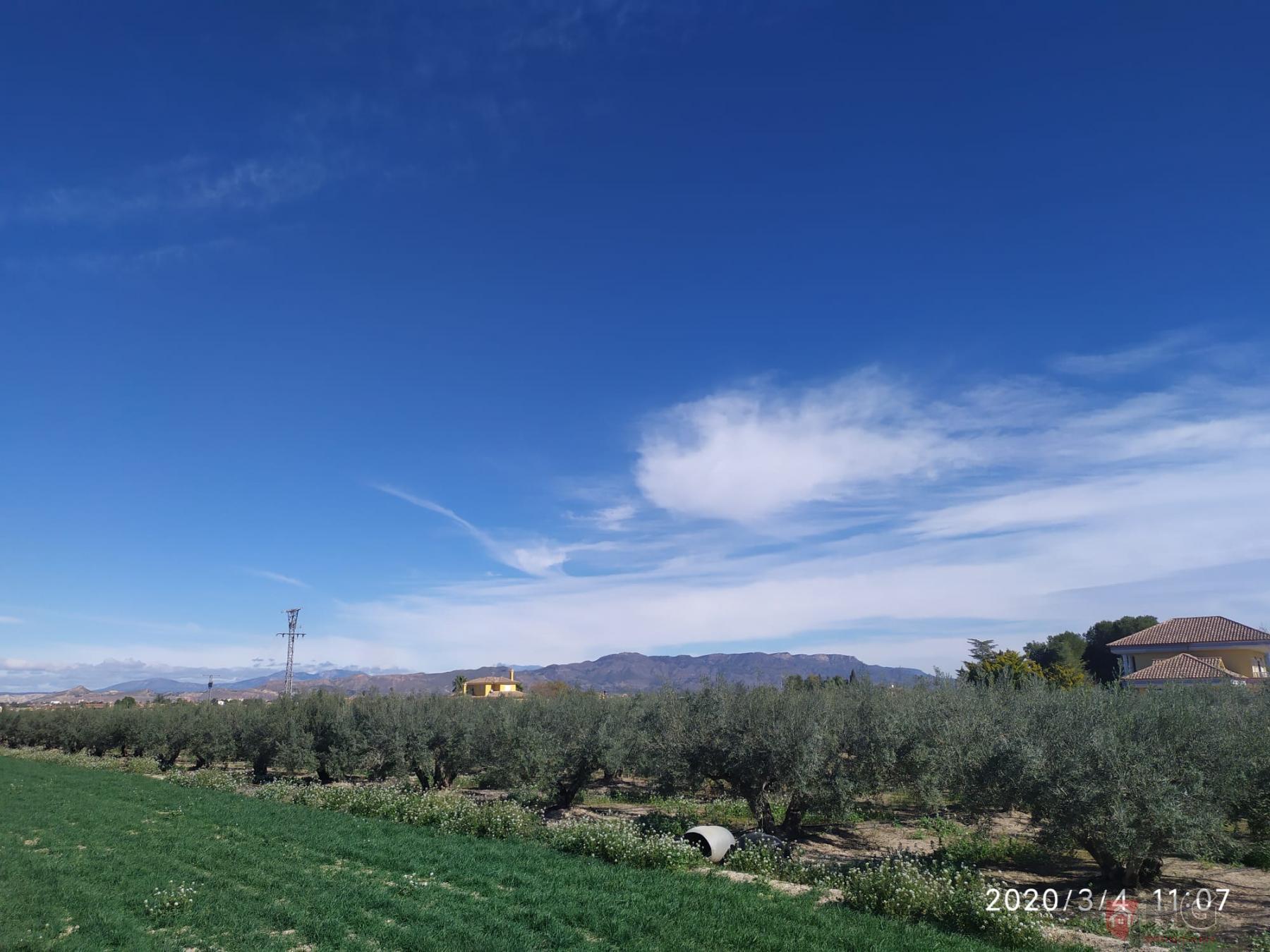 For sale of land in Lorca