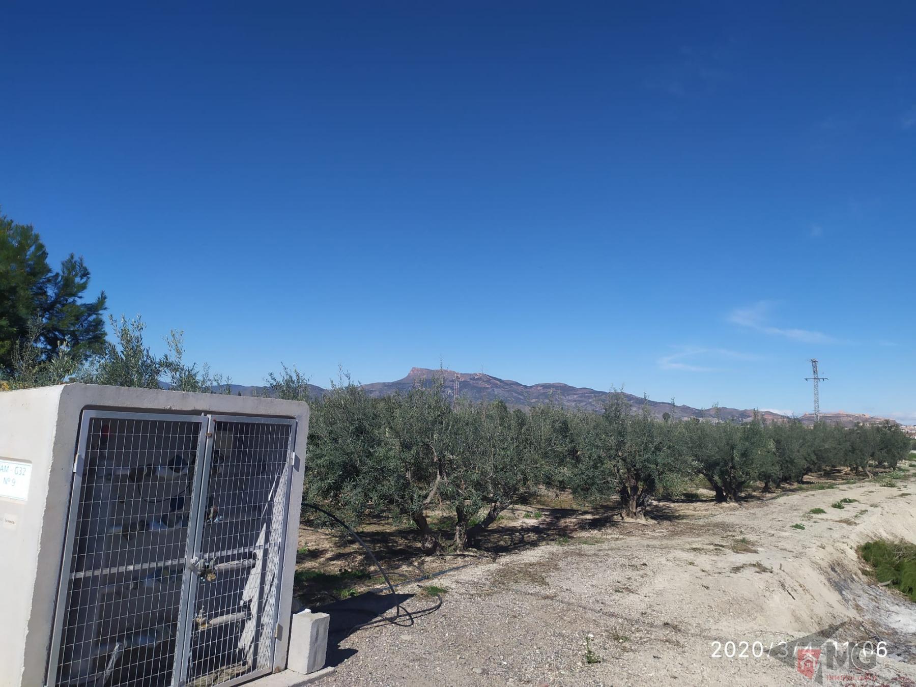 For sale of land in Lorca