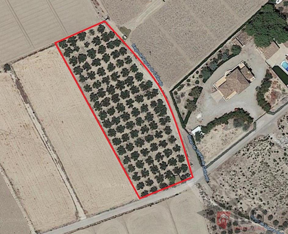 For sale of land in Lorca