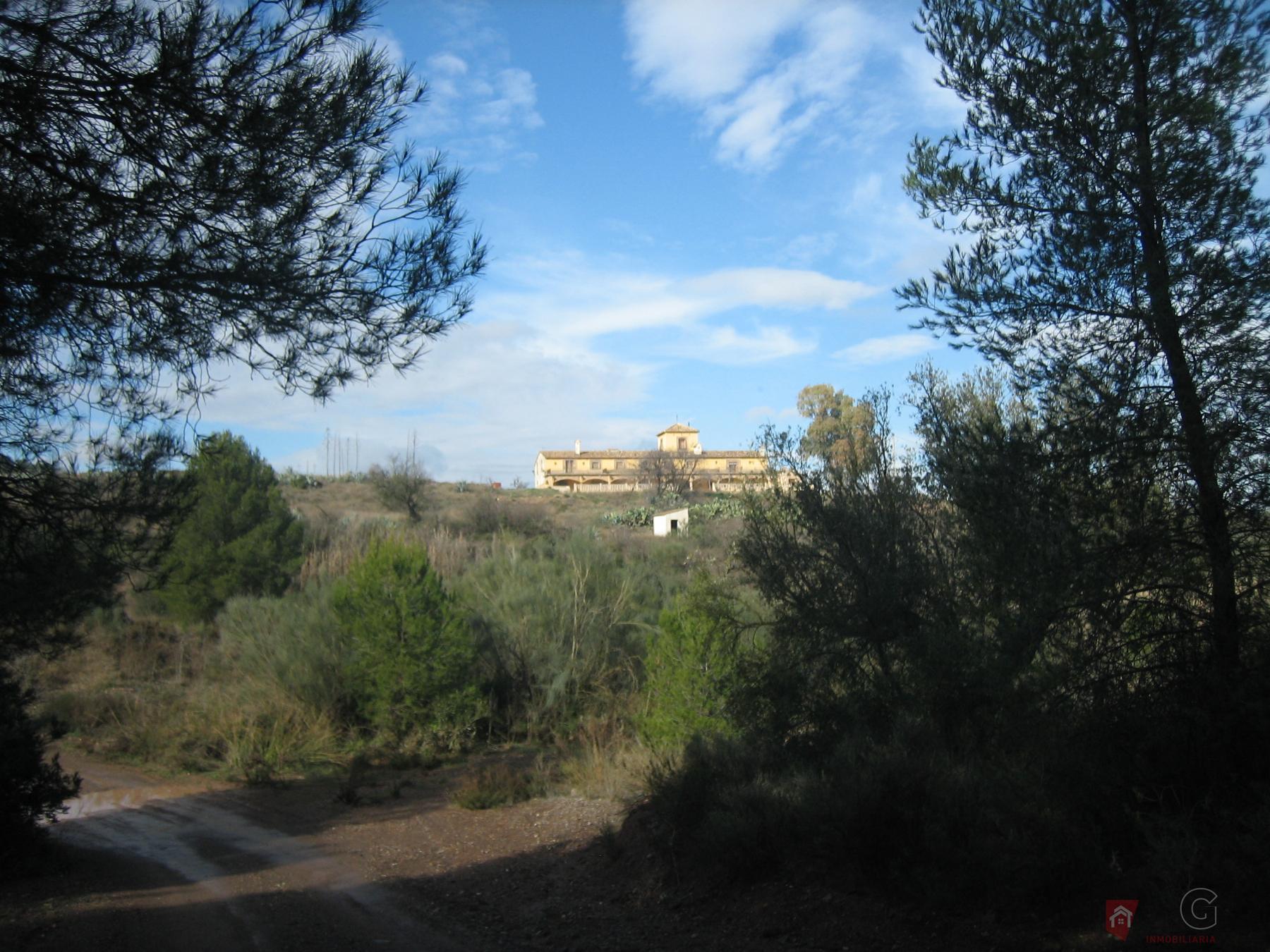 For sale of chalet in Lorca