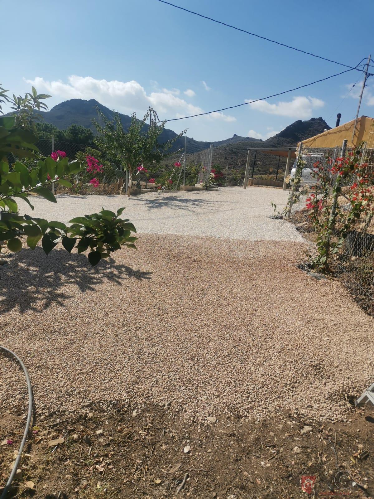 Venta de finca rústica en Lorca