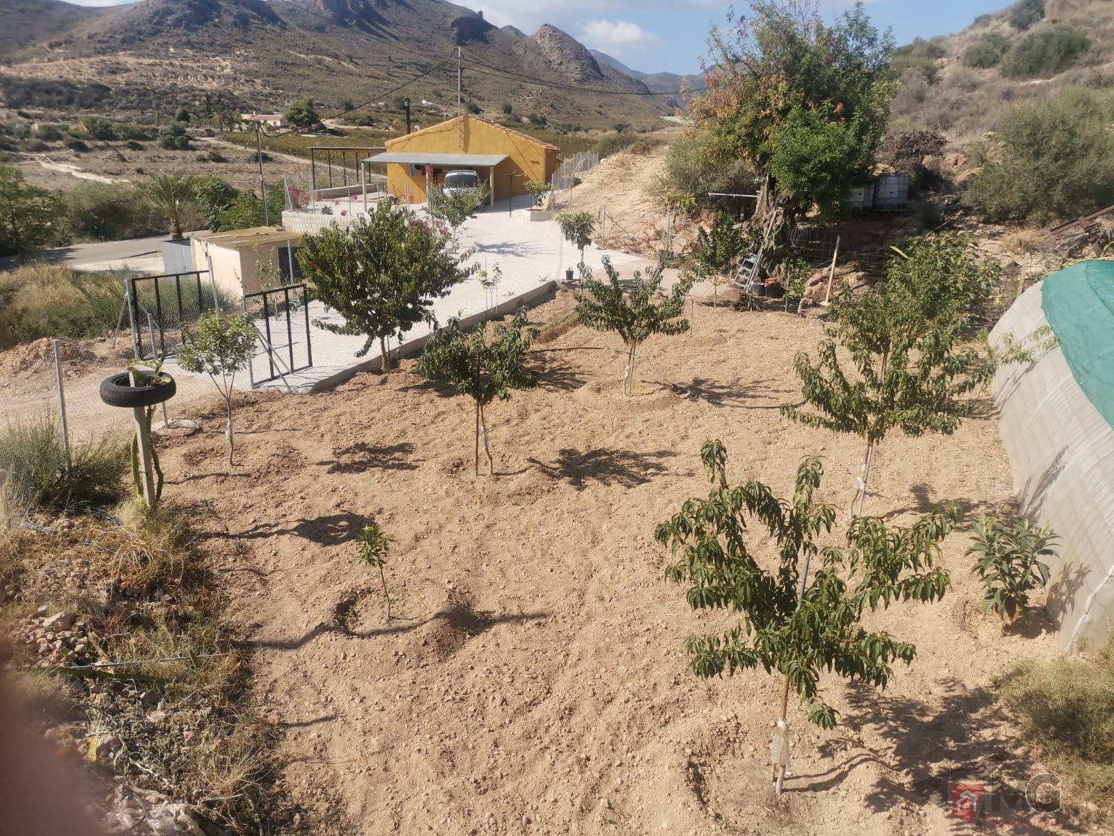 Venta de finca rústica en Lorca