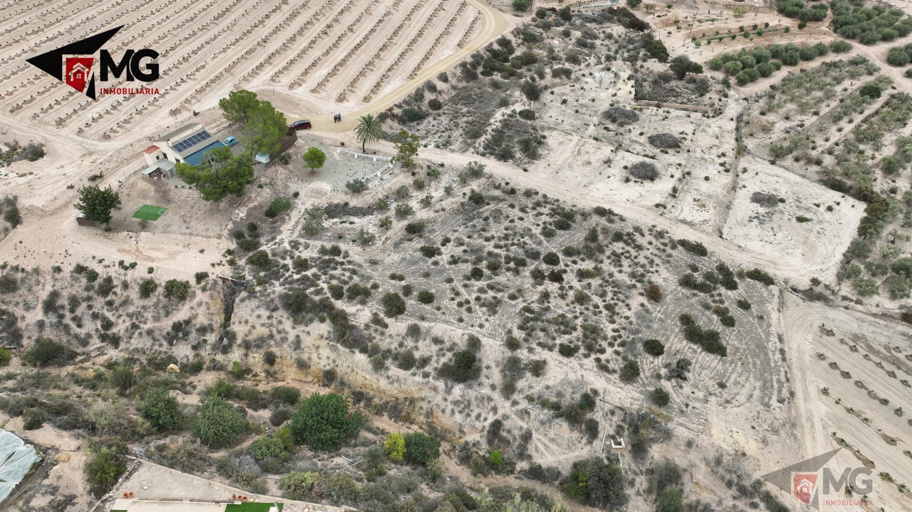 For sale of land in Totana