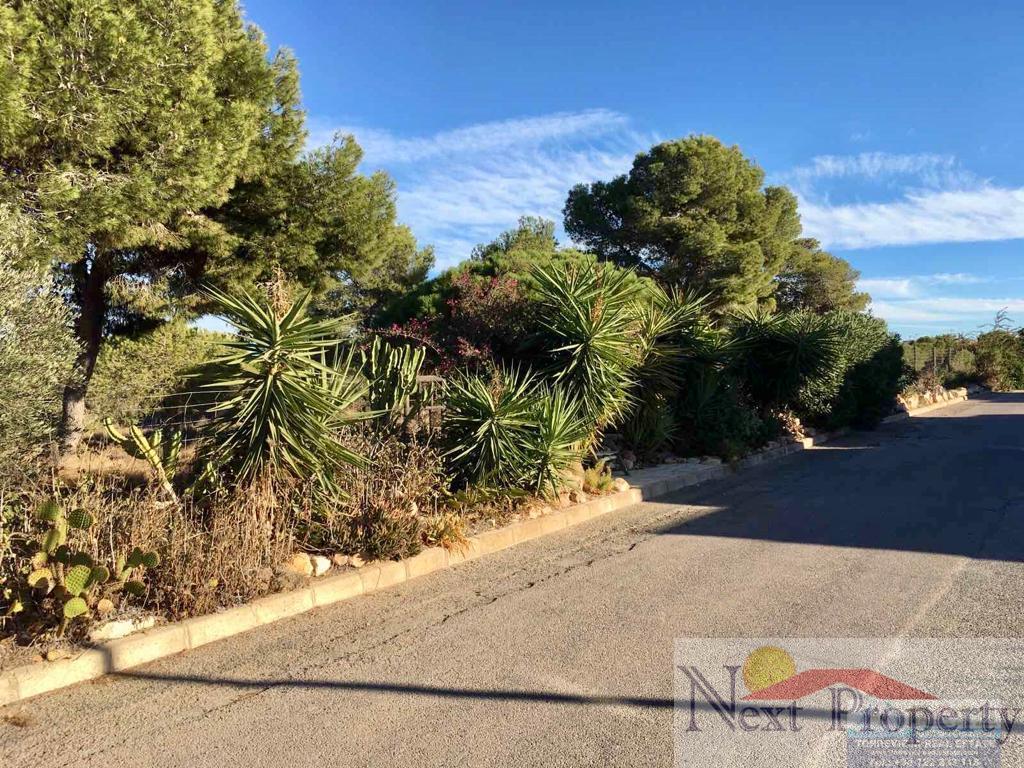 For sale of bungalow in Torrevieja