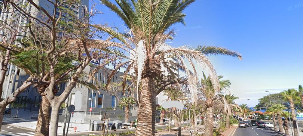 Venta de local en Tenerife