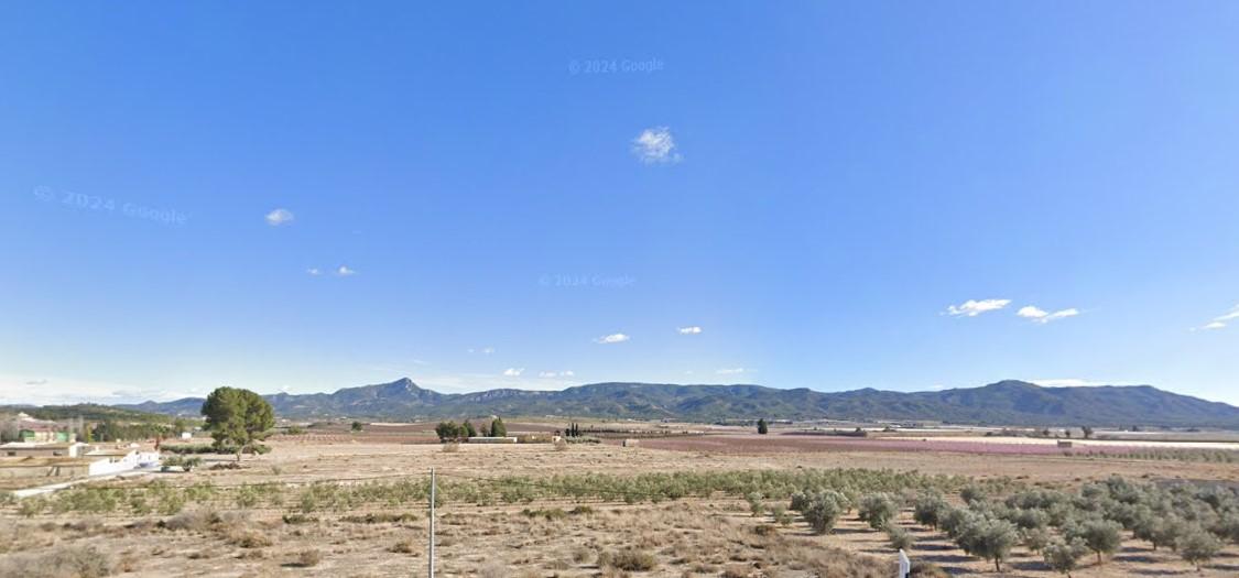 Venta de finca rústica en Jumilla