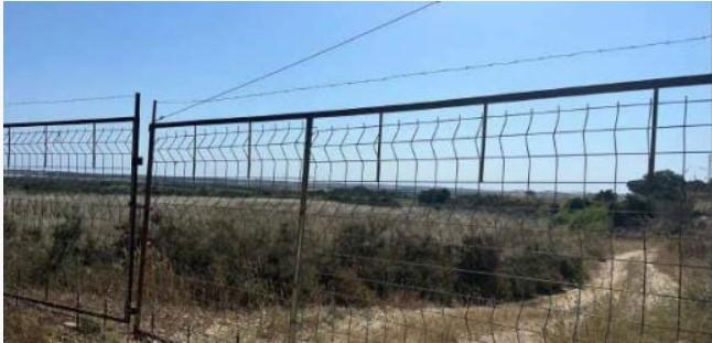 Venta de finca rústica en Niebla