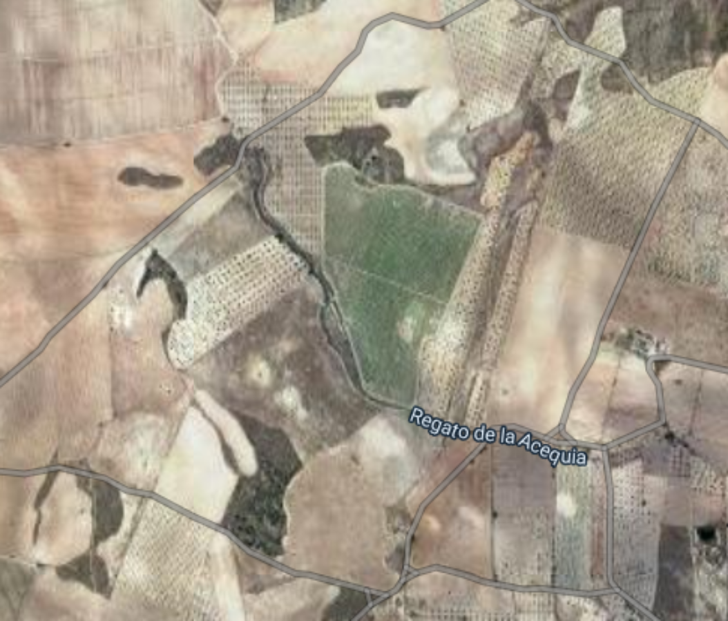 Venta de finca rústica en Cieza