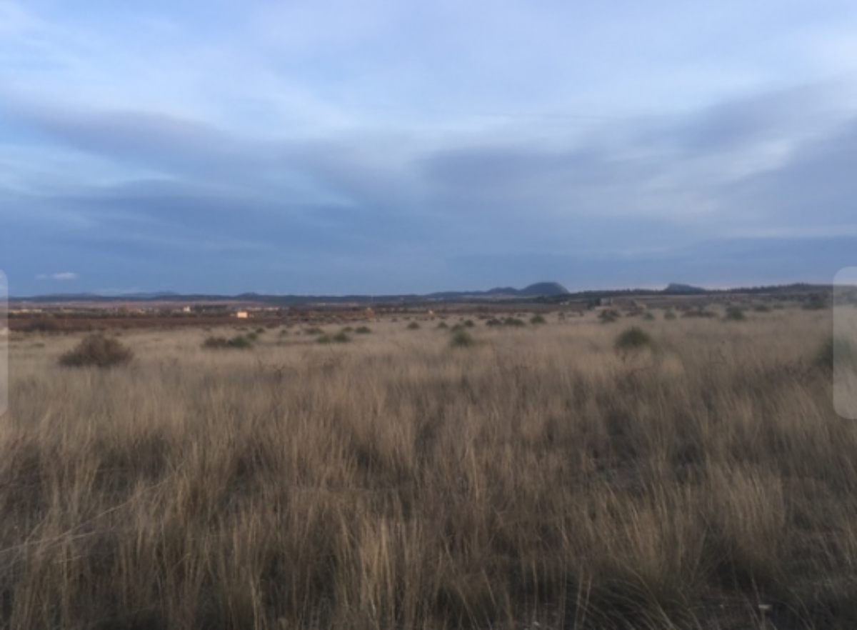 Venta de finca rústica en Cieza