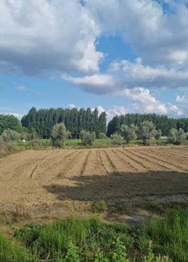 Venta de terreno en Guadix