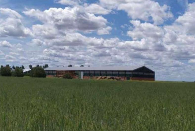 Venta de nave en San Vicente del Palacio