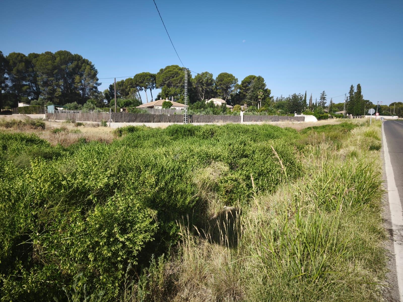 Venta de finca rústica en Hellín