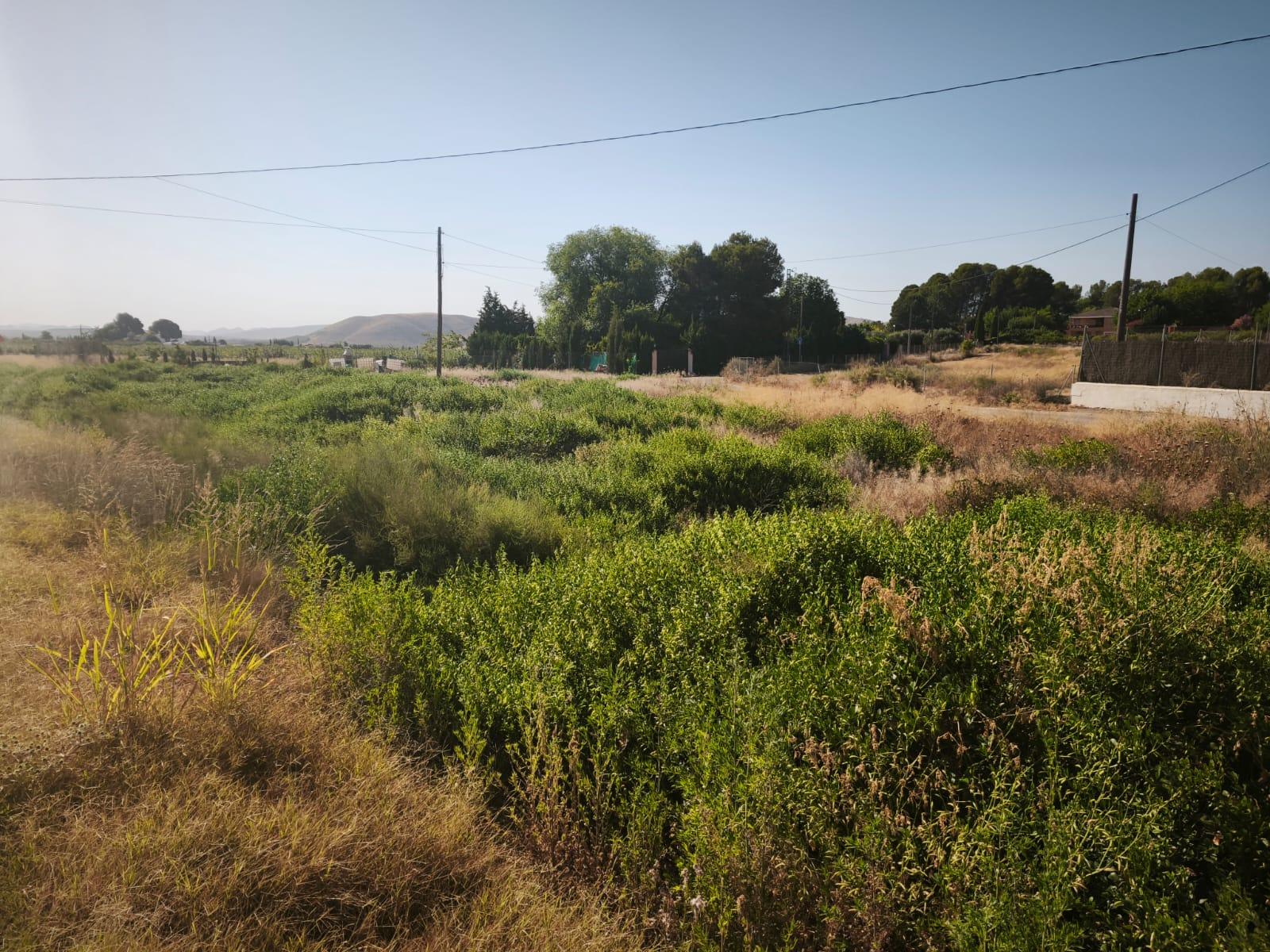 Venta de finca rústica en Hellín