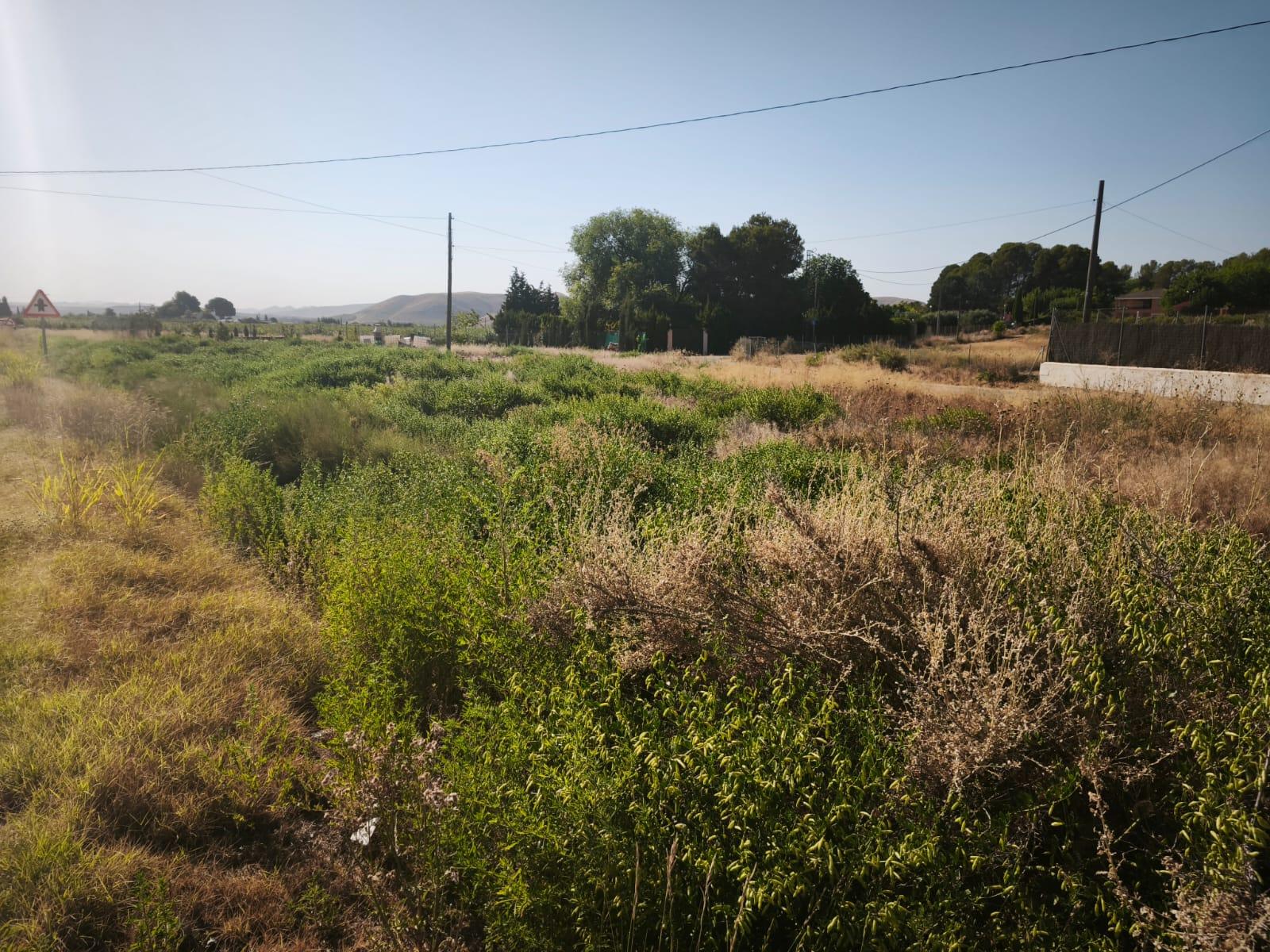 Venta de finca rústica en Hellín