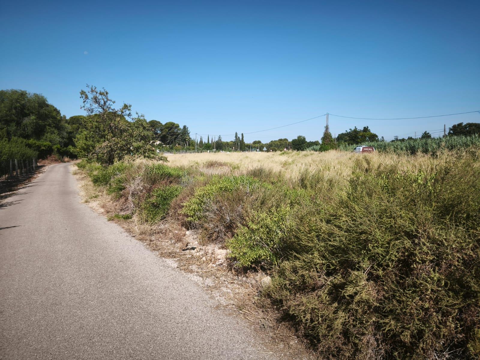 Venta de finca rústica en Hellín
