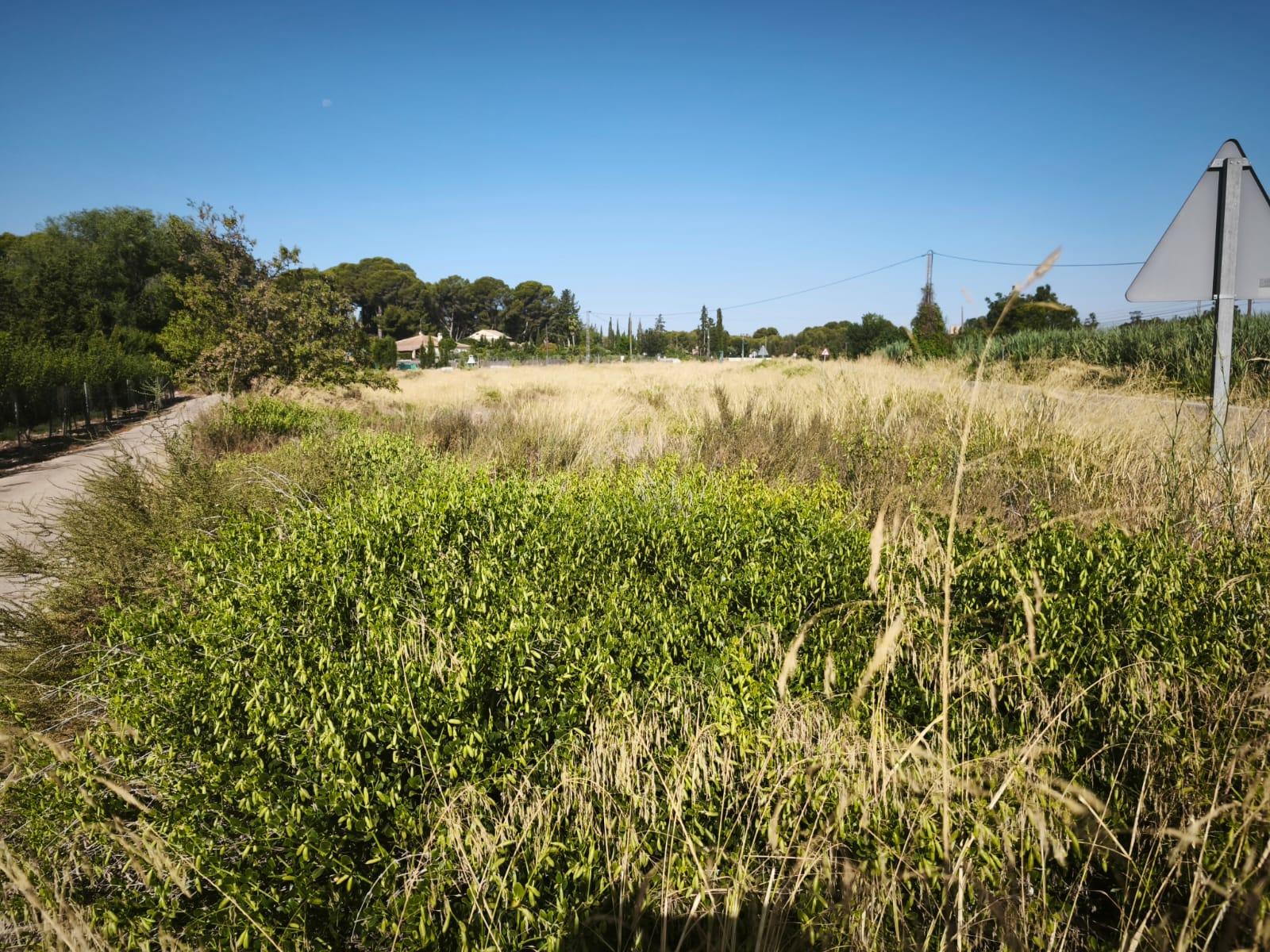 Venta de finca rústica en Hellín