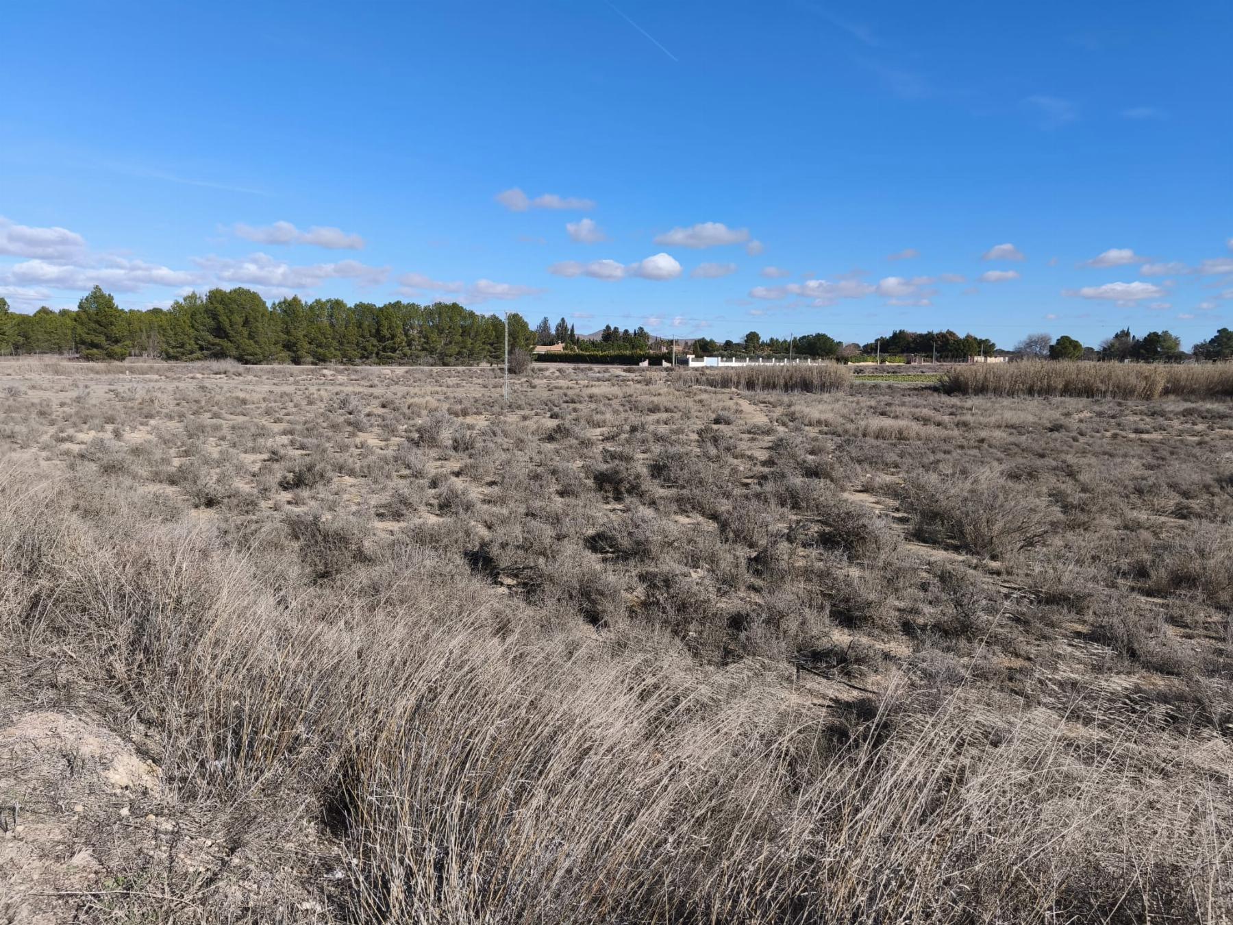 Venta de finca rústica en Hellín