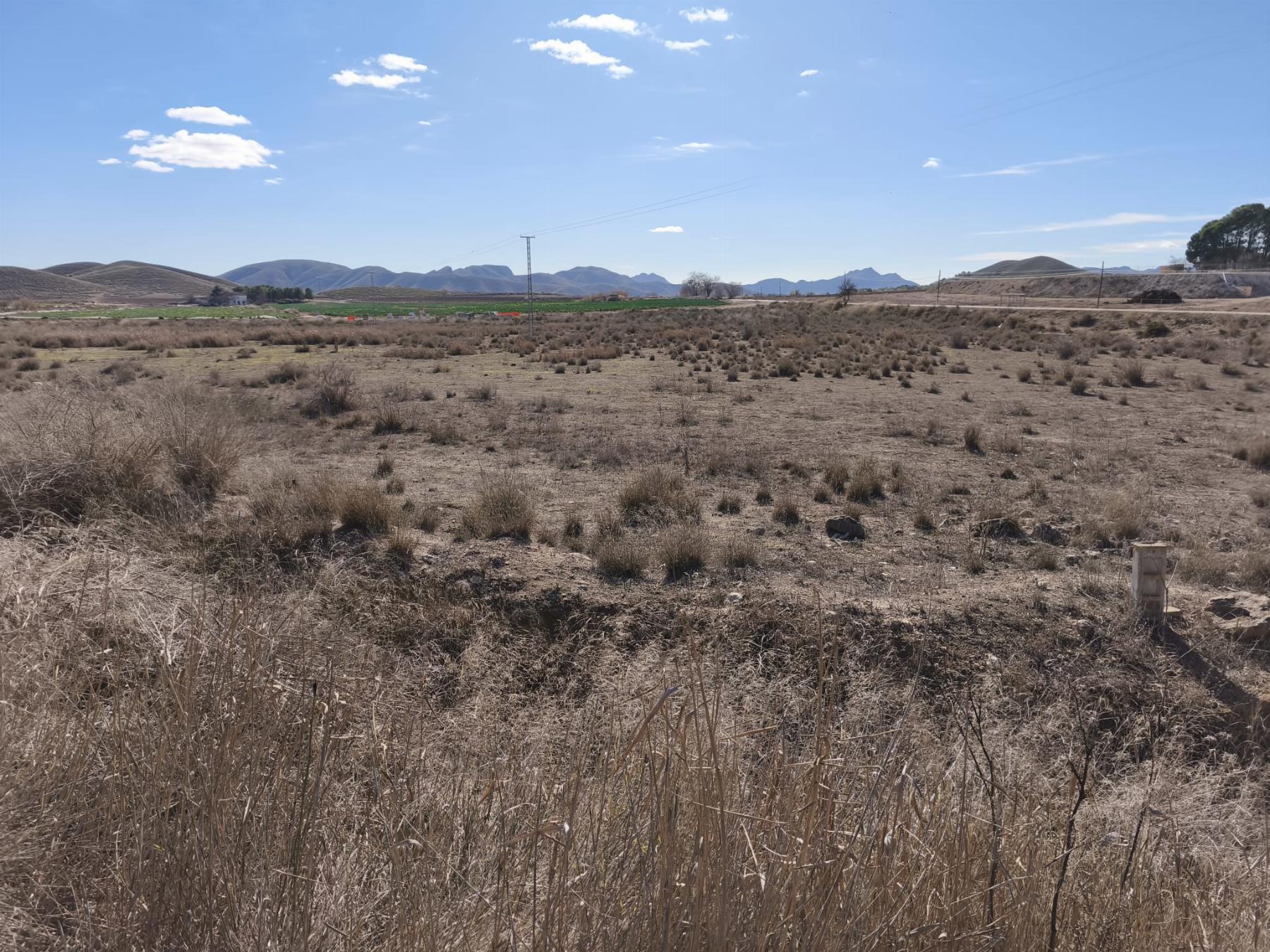Venta de finca rústica en Hellín