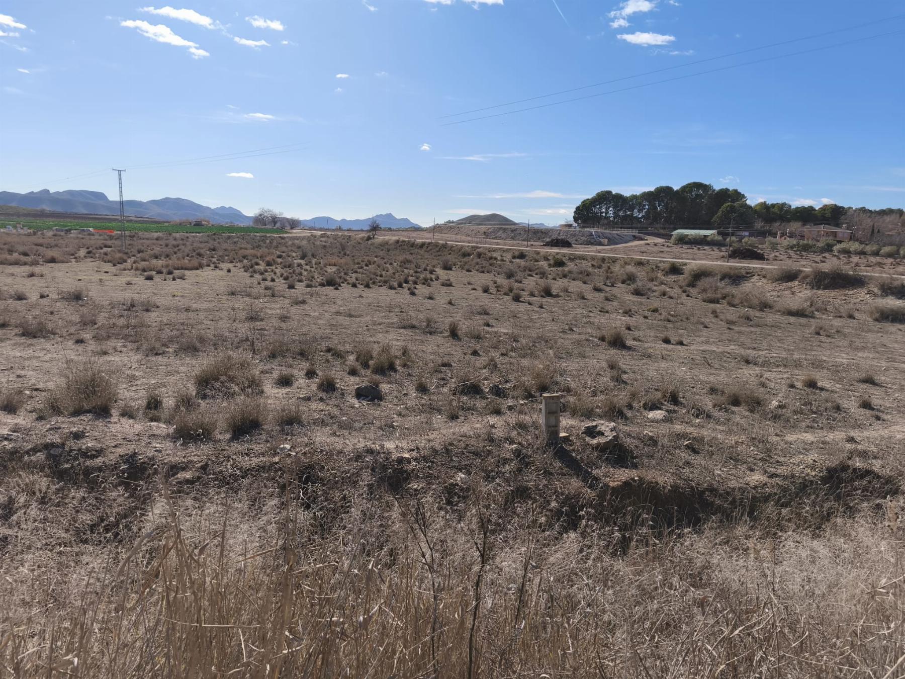Venta de finca rústica en Hellín