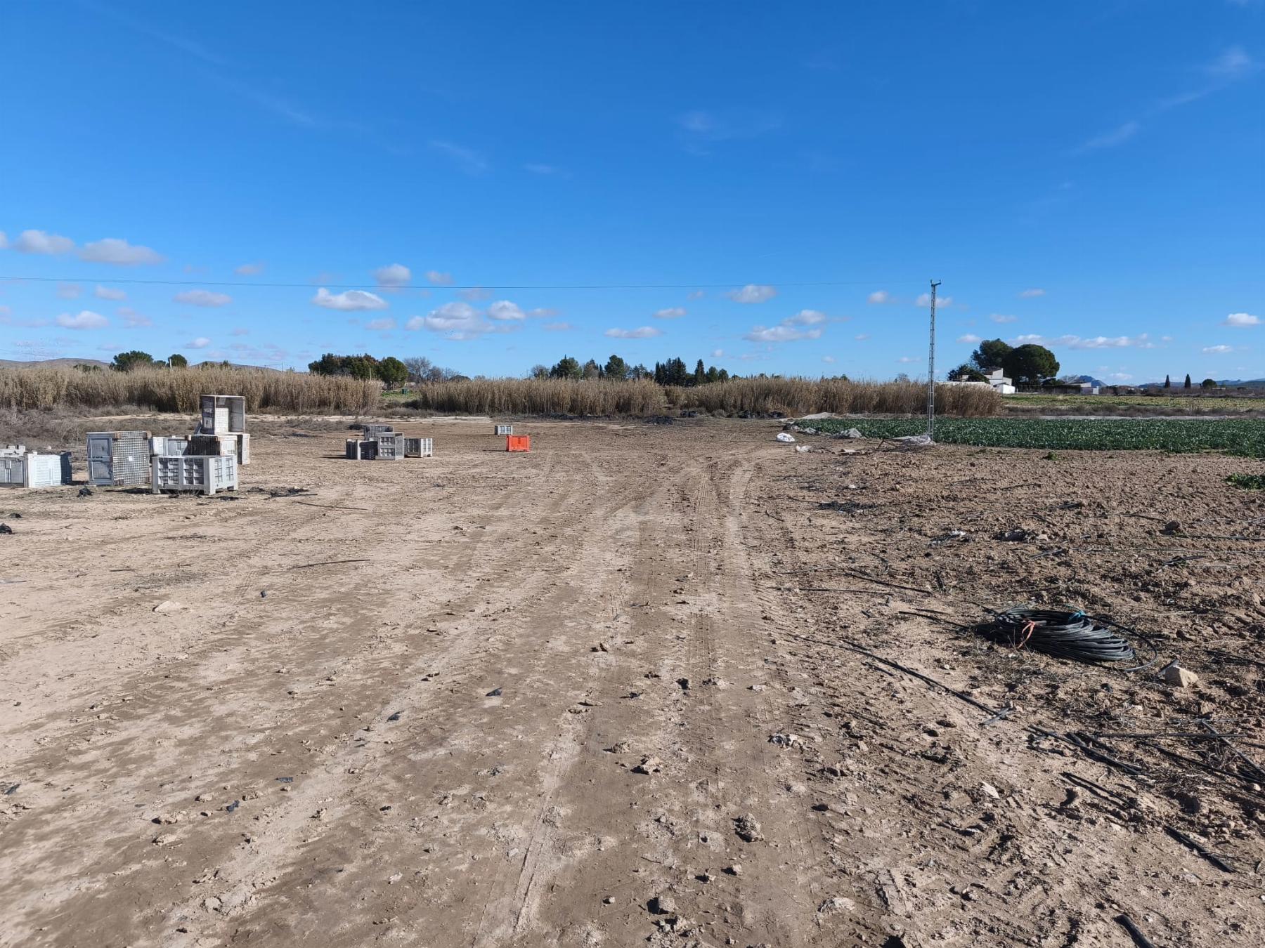 Venta de finca rústica en Hellín