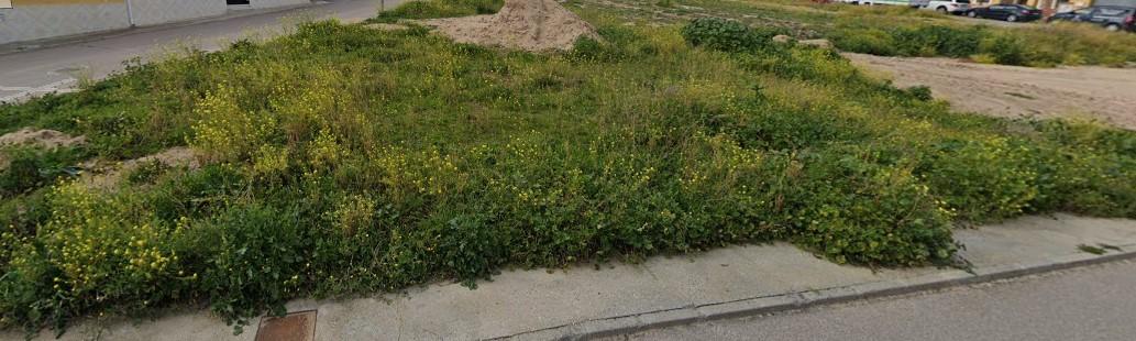 For sale of land in Albarreal de Tajo