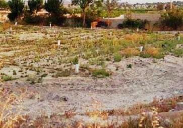 Venta de terreno en Abanilla
