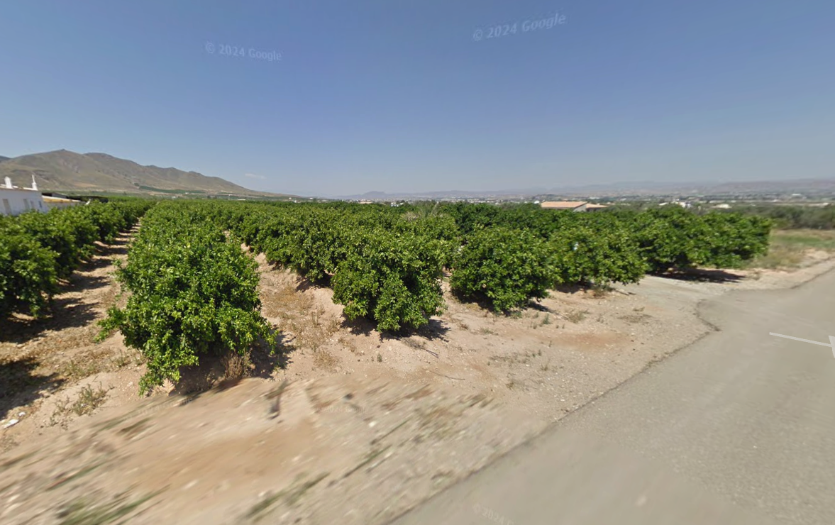 Venta de finca rústica en Huércal-Overa