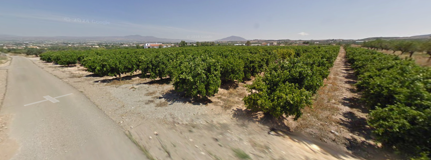 Venta de finca rústica en Huércal-Overa