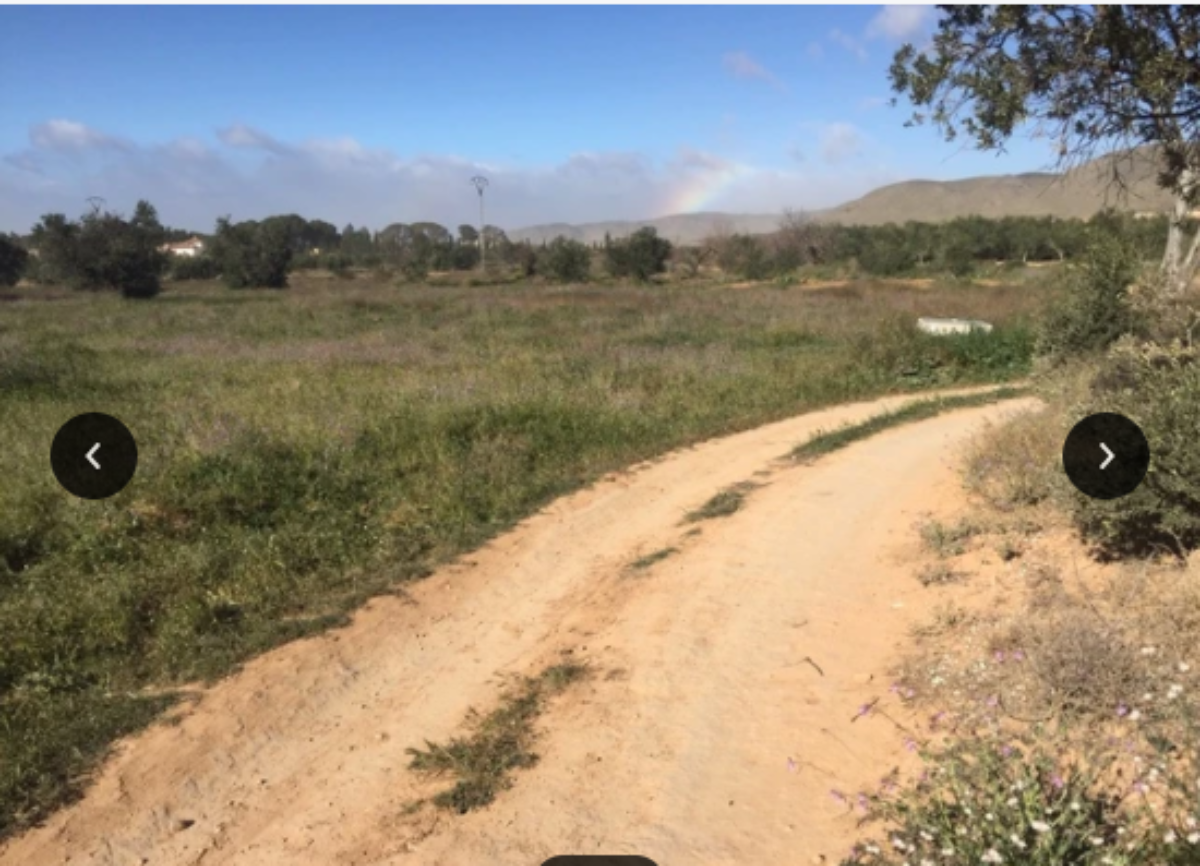 Venta de finca rústica en El Pinós