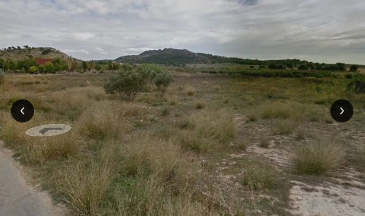 Venta de finca rústica en Cieza