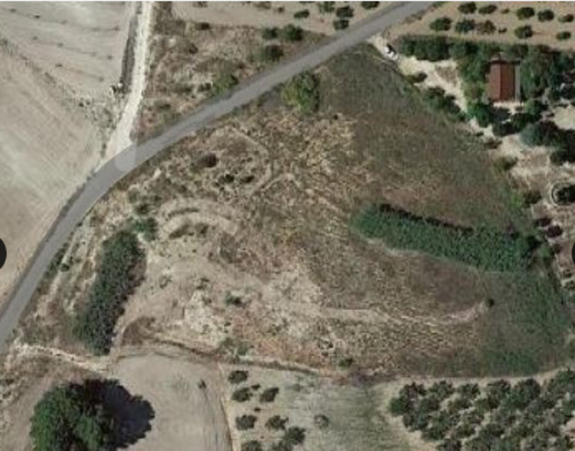 Venta de finca rústica en Cieza