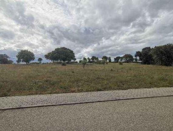 For sale of land in Valverdón