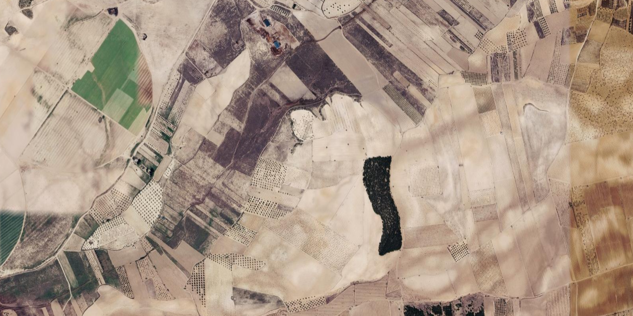 Venta de terreno en Cieza