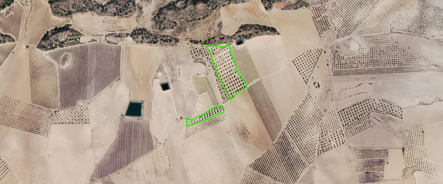 Venta de terreno en Cieza