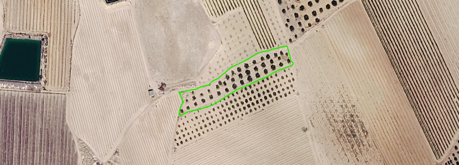 Venta de terreno en Cieza