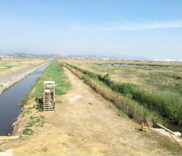 Venta de finca rústica en La Llosa