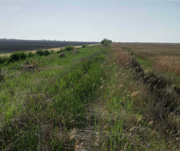 Venta de finca rústica en La Llosa