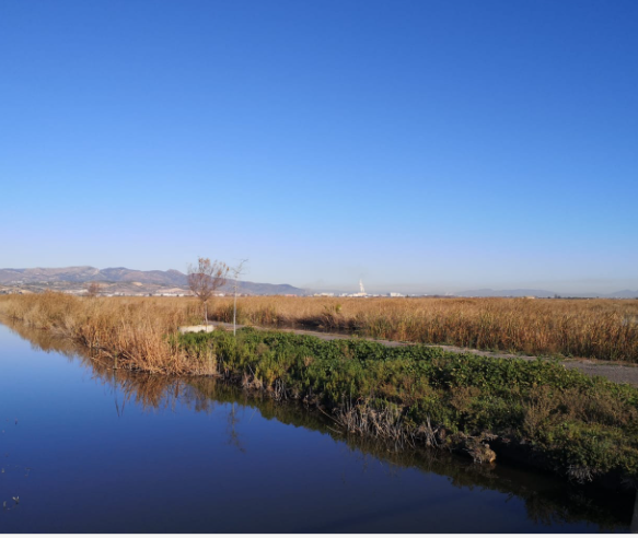 Venta de finca rústica en La Llosa