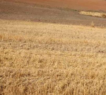 Venta de terreno en Higuera de Llerena