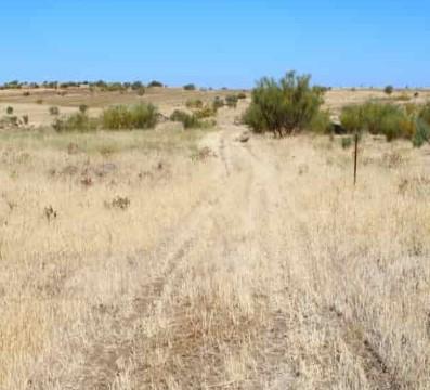 Venta de terreno en Higuera de Llerena