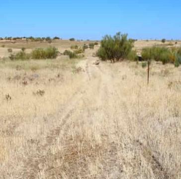 Venta de terreno en Higuera de Llerena