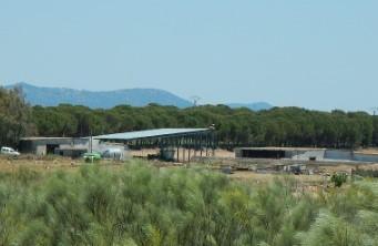 Venta de nave en Almoharín