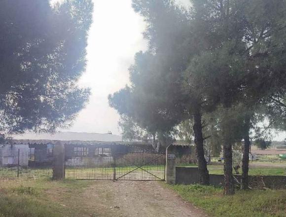 Venta de nave en Almoharín