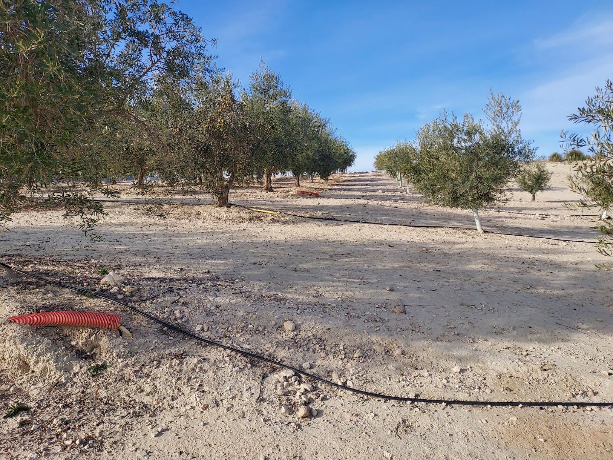 Venta de terreno en Cieza