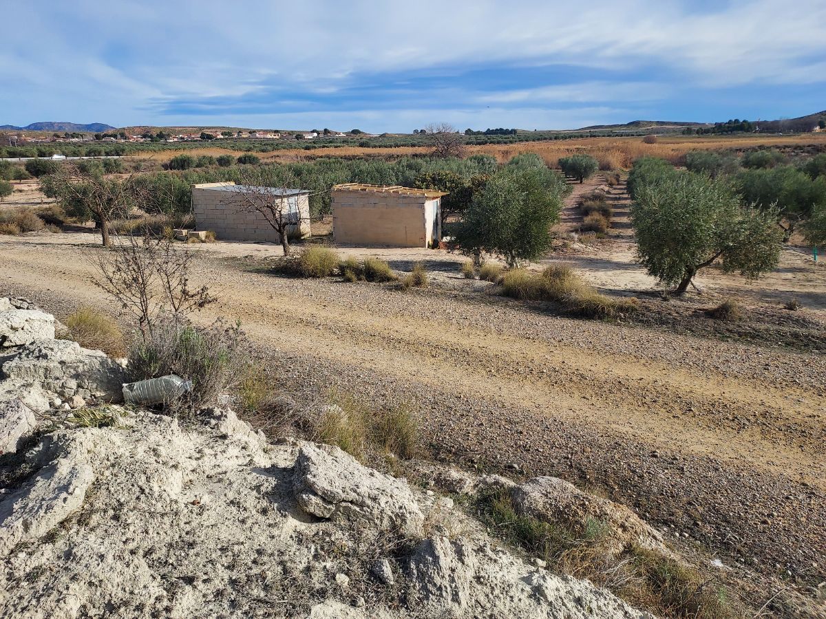 Venta de terreno en Cieza