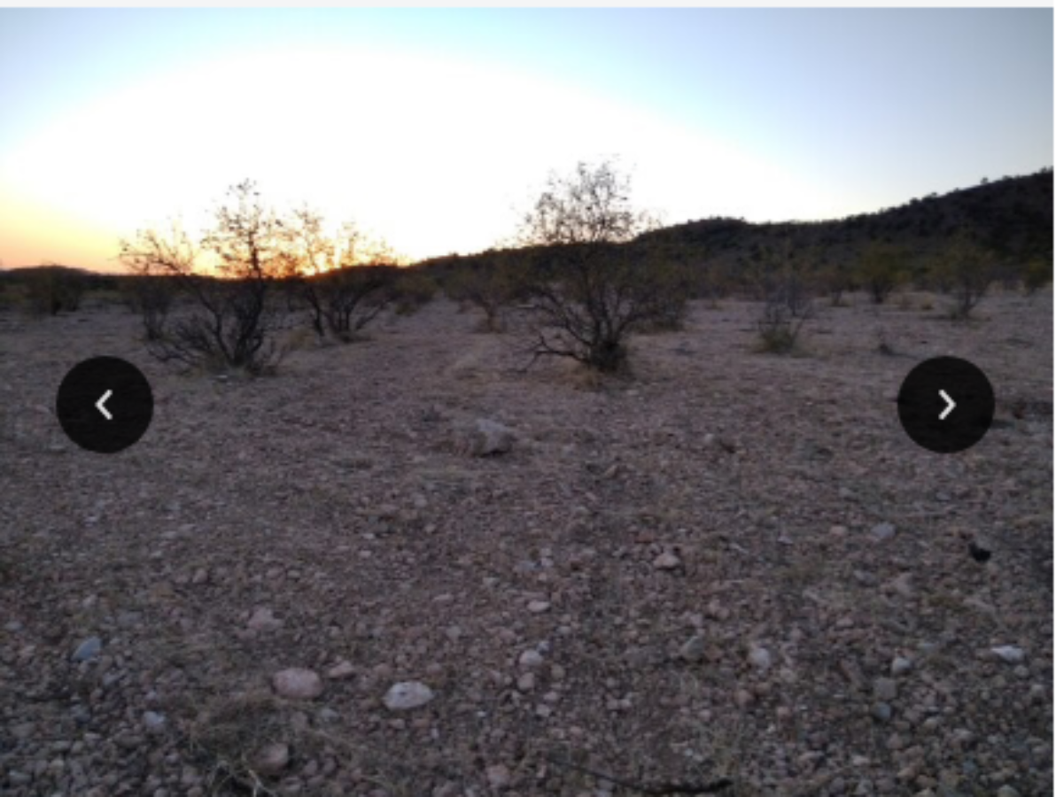 Venta de finca rústica en Jumilla
