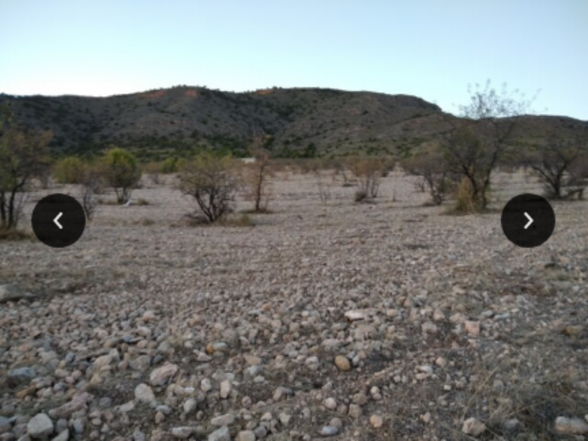Venta de finca rústica en Jumilla