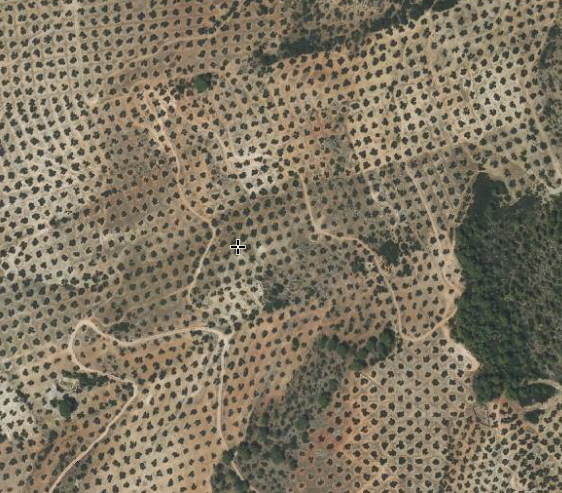 Venta de finca rústica en Villacarrillo