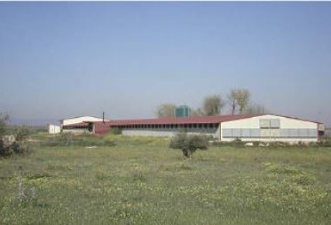 Venta de finca rústica en Herencia