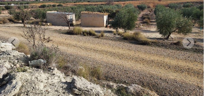 Venta de finca rústica en El Pinós
